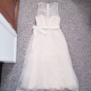 BCBG Embroidered Illusion Dress